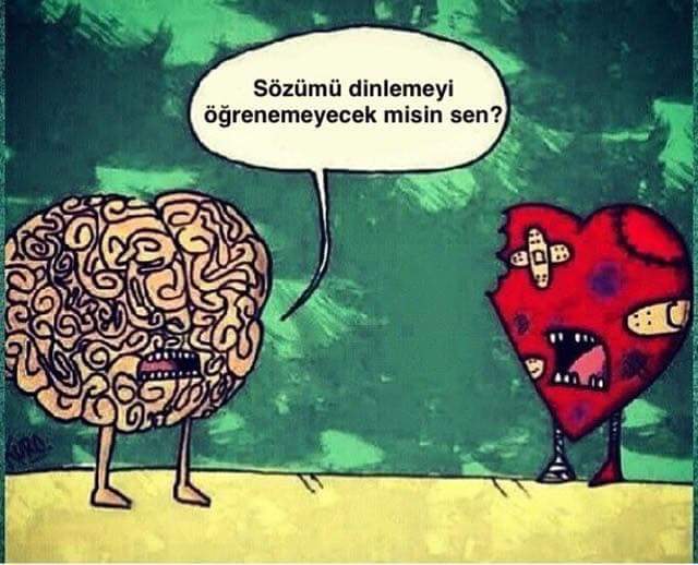 👉 Aşk mı, mantık mı daha uzun ömürlü olur? ❤️🧠?