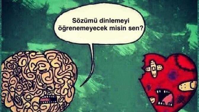 👉 Aşk mı, mantık mı daha uzun ömürlü olur? ❤️🧠?
