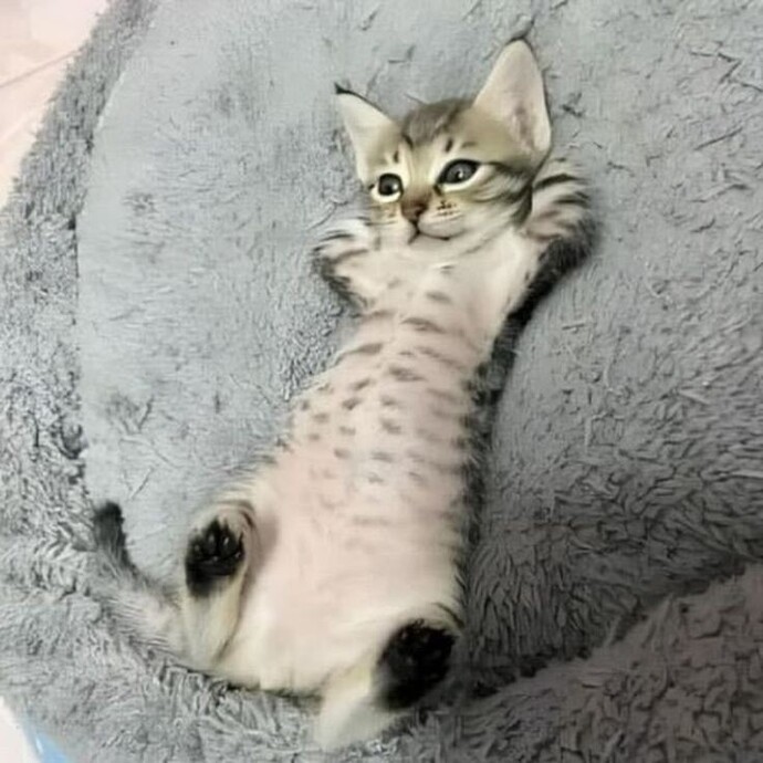 Şu saatte yatıcam deyip kaç gece sabahladınız?