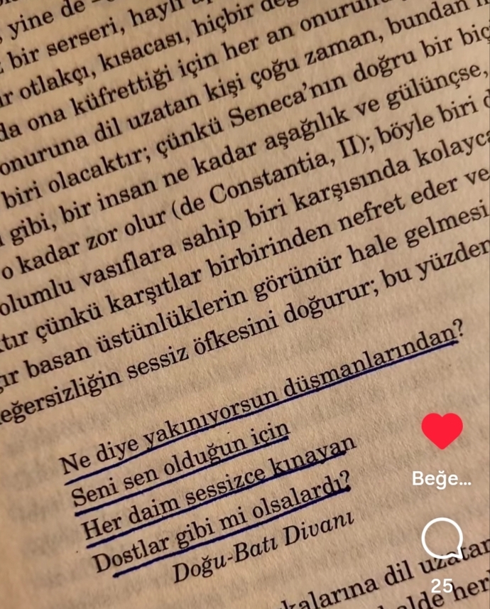 İnsan büyüdükçe düşmanlarından değil dostlarından daha çok nefret etmiyor mu?