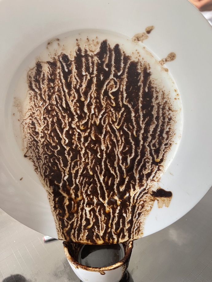 Kahve falıma bakar mısınız lütfen ?