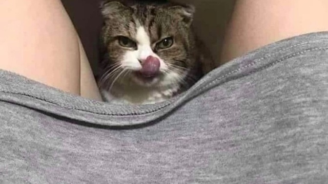 Sizce erkekler mi çok stalk yapar kızar mı?