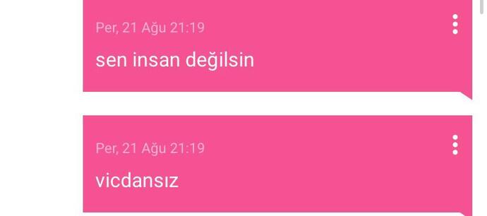 burada kibarca sövüyorum