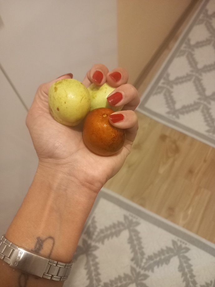 Hunnap yedin mi hiç seviyor musun?