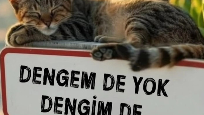 Dengen mi yok, dengin mi?