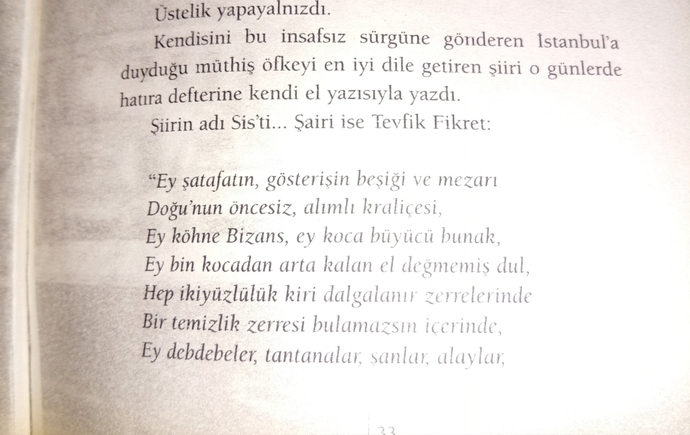 Size göre bir şiirde argo kullanılabilir mi?