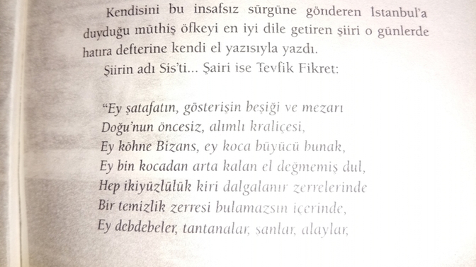 Size göre bir şiirde argo kullanılabilir mi?