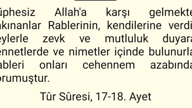 Allah insanları basbaya aptal yerine koymuyor mu?