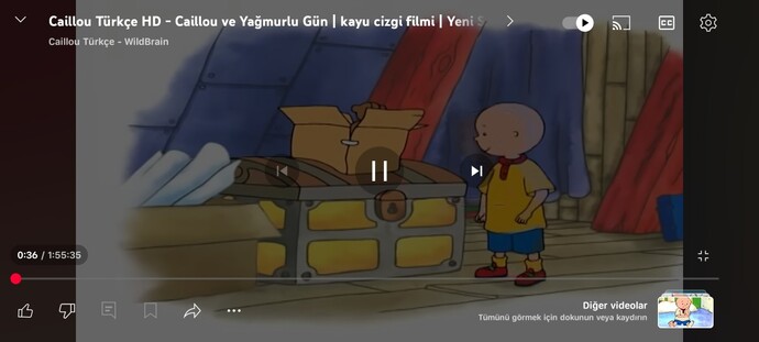 Çizgi film izlemeyi sever misiniz?