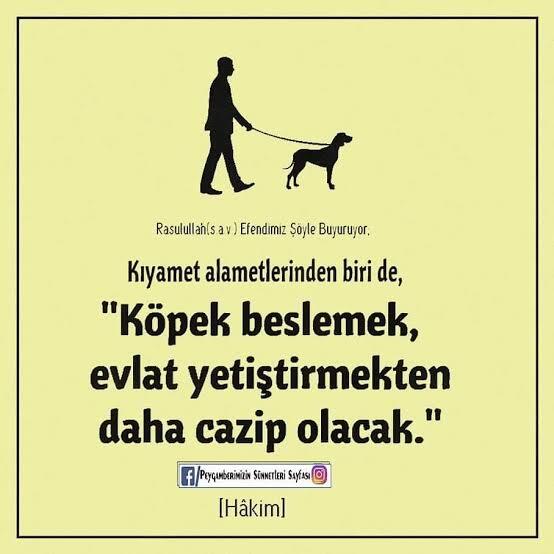Hayvanlara evlat kızım oğlum diyenler hakkkında ne düşünüyrsunuz?