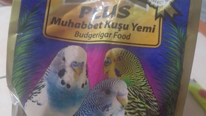 Muhabbet kuşu olan var mı arkadaşlar?