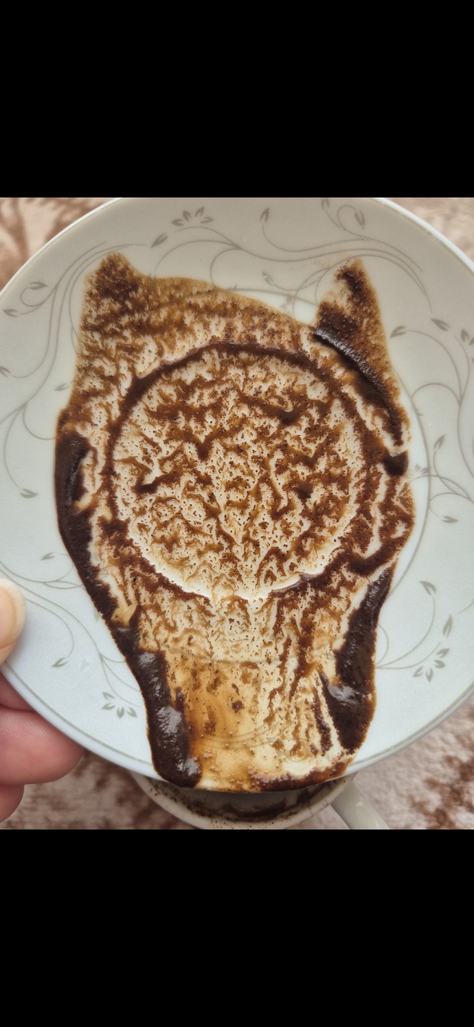 Güünayyydınnn. Kahve falımı yorumlayın. Neler görüyorsun?