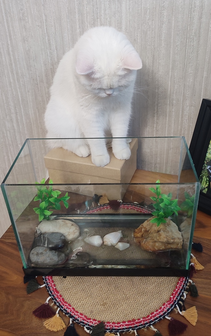 Ama çok tatlı değil mi 🥰?
