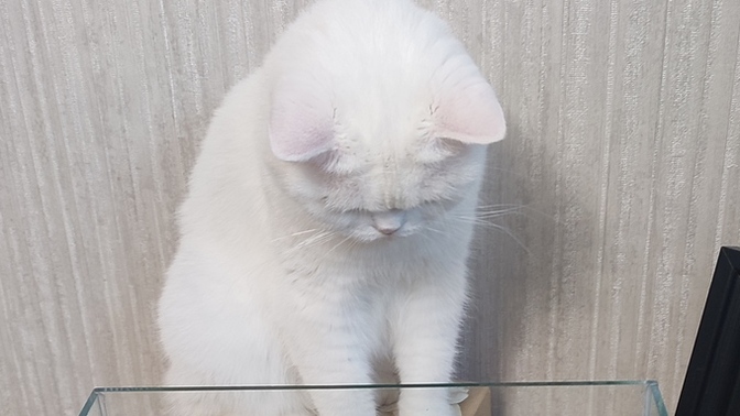 Ama çok tatlı değil mi 🥰?