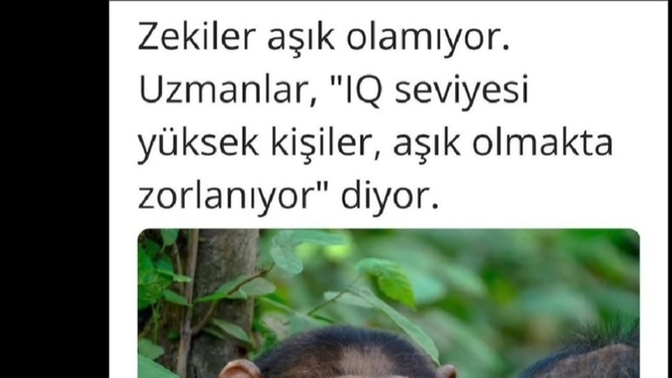 Aşık olmak sizin için kolay mıdır?
