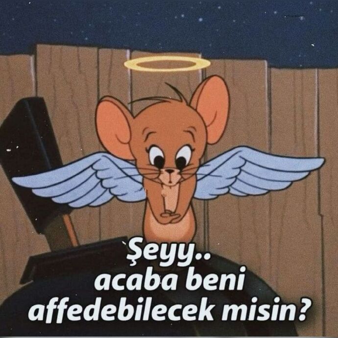 Seven insan sevdiğini engeller mi?