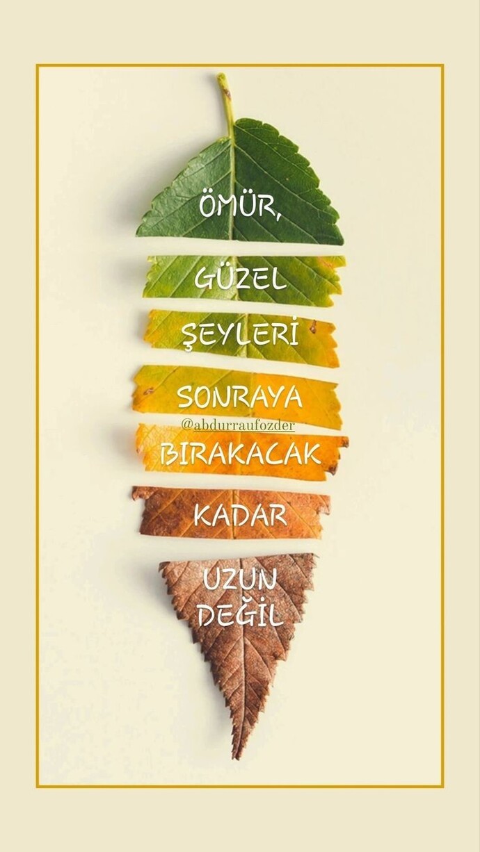 Günaydın mutlu pazarlar 🥰🤩 hayatta keşke dedikleriniz mi çok yoksa iyi ki dedikleriniz mi?