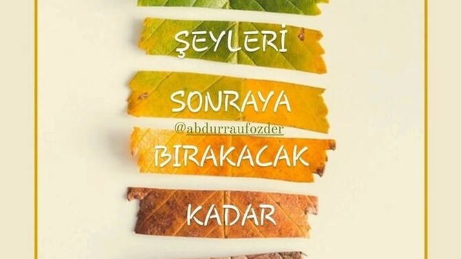 Günaydın mutlu pazarlar 🥰🤩 hayatta keşke dedikleriniz mi çok yoksa iyi ki dedikleriniz mi?