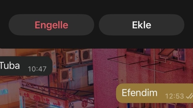 Her giden dönüyor mu sayın arkadaşlar?