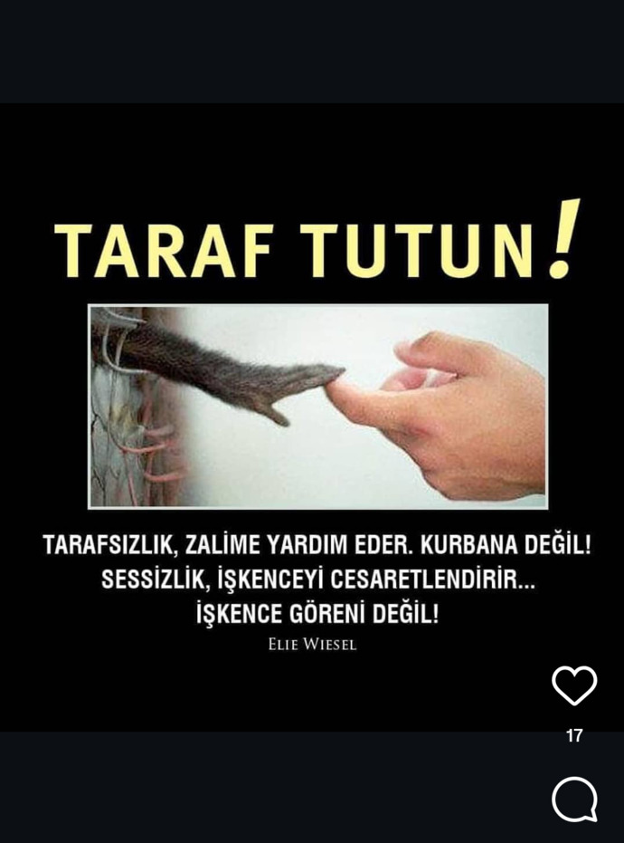 Sözde halk güvenliği için hayvanlar katlediliyor ama suçlular dışarda devletin hâlâ amacını anlamayanlar neyin kafasında?