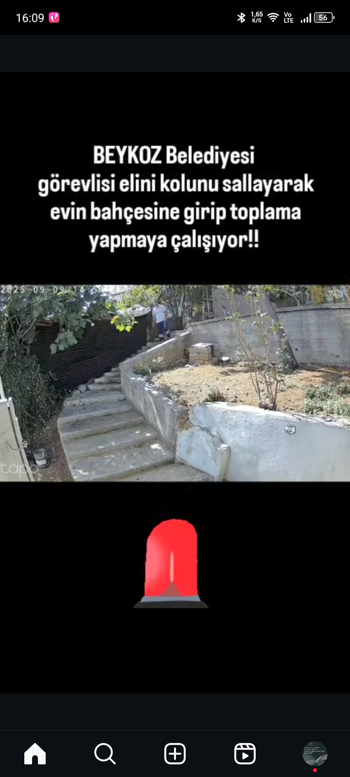 Sözde halk güvenliği için hayvanlar katlediliyor ama suçlular dışarda devletin hâlâ amacını anlamayanlar neyin kafasında?