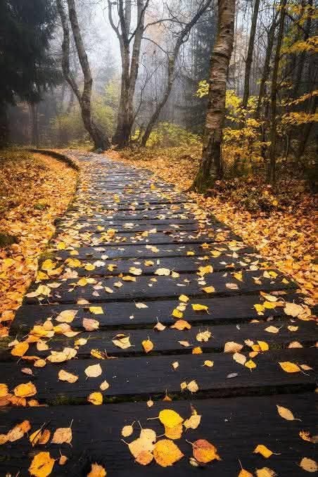 Bu yol nereye çıksa mutlu olurdunuz?