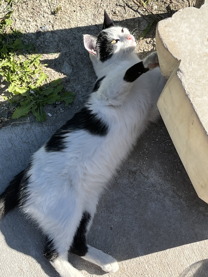 Mırnık💕