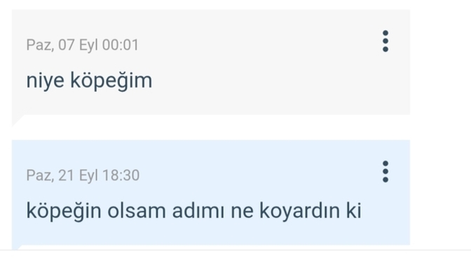Yeni köpüşümün adı ne olsun?