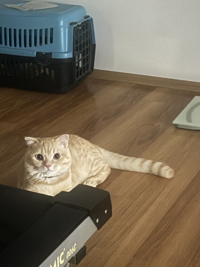 Şu an bulunduğun yerden bir foto paylaşır mısın?