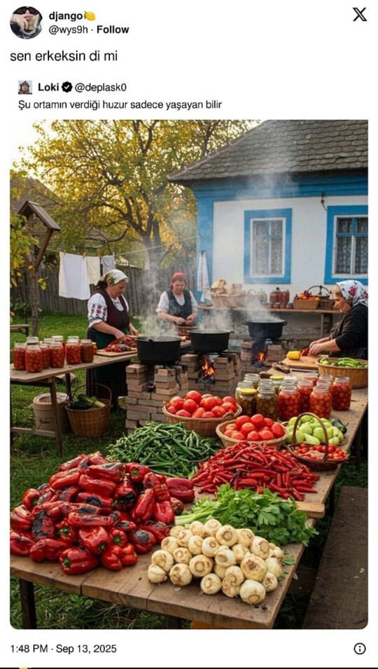 Kışa hazırlık her açıdan (konserve, turşu, birikim, kıyafet vs vs) yapıldı mı?