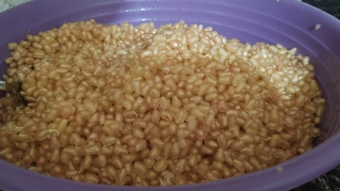 Nar sever misiniz?