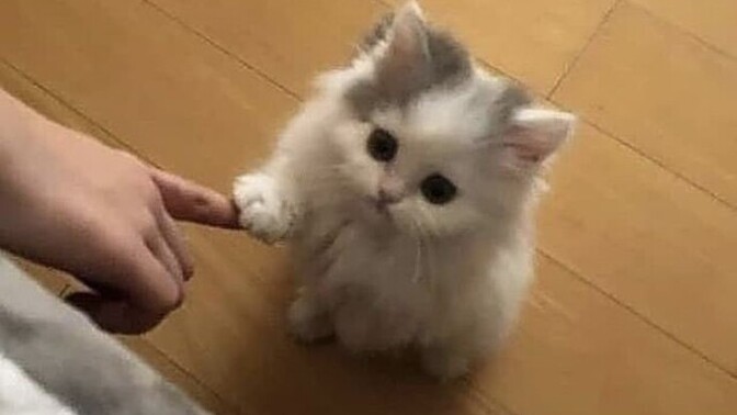 Sevgilinle uyum deyince aklına ne geliyor?