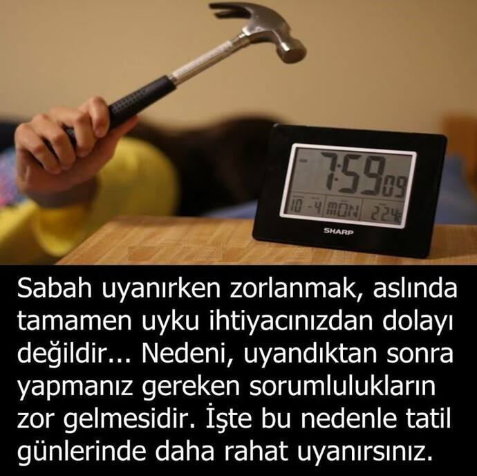 Gece yatarken yarın erken kalkacağım deyip 16 kere alarm kurmak… Bu bir umut mu, yoksa kendini kandırma sanatı mı? ⏰?
