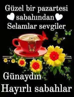 Yeni hafta başladı pazartesi sendromu çeken var mı yoksa hemen kendinize gelebildiniz mi benim gibi🧸ྀ?