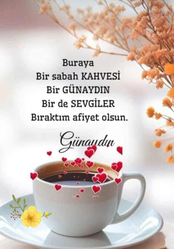 Doğum günümde aşk yok bir şey yok normal mi?