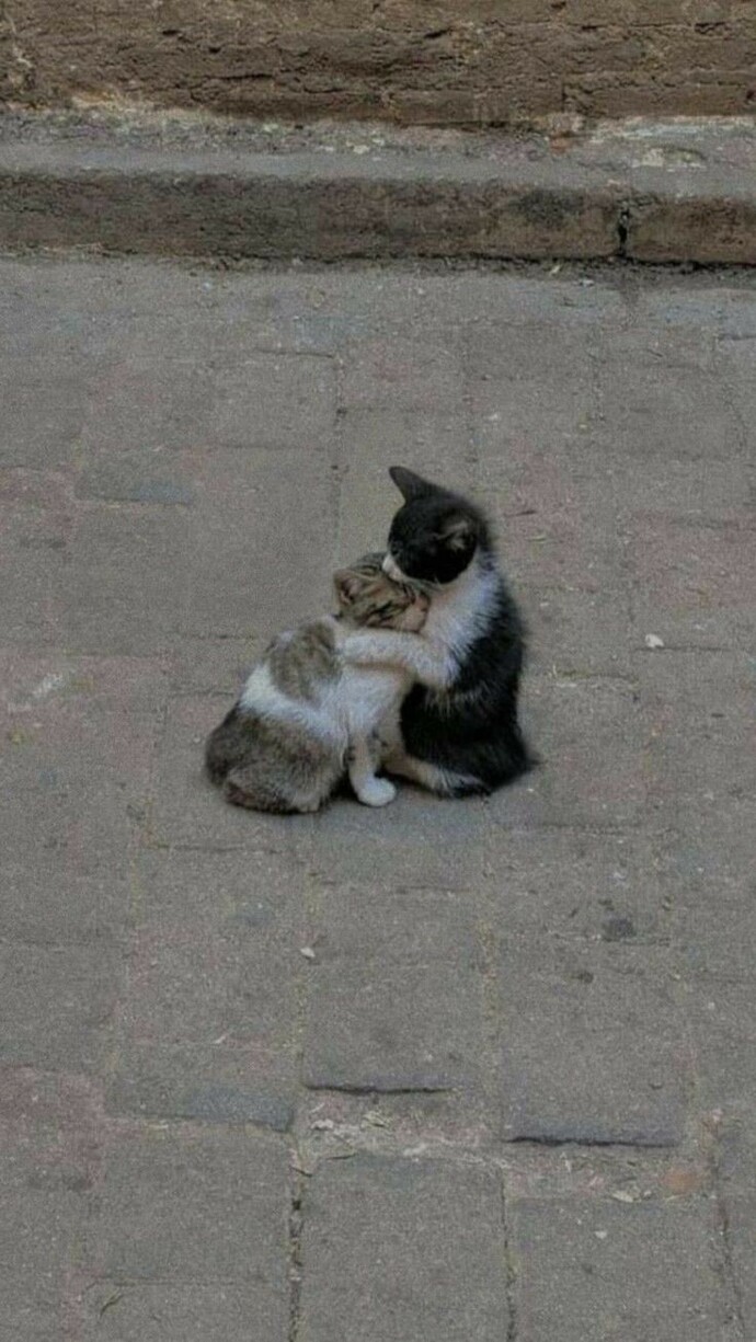 Soğuk havalarda giymeyi en çok sevdiğiniz şey ne?