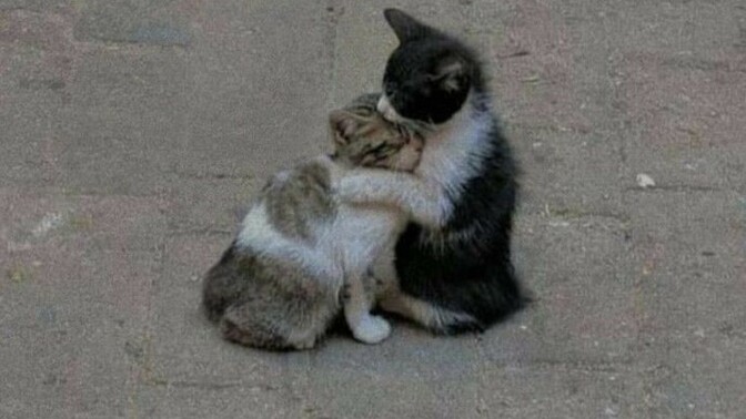 Soğuk havalarda giymeyi en çok sevdiğiniz şey ne?