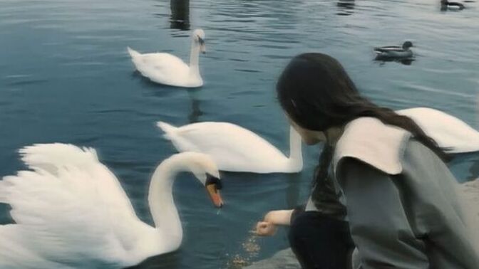 İyi niyet mi daha değerlidir yoksa zeka mı?