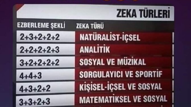 TC ezberleme şeklinize göre hangi zeka türüne sahipsiniz?