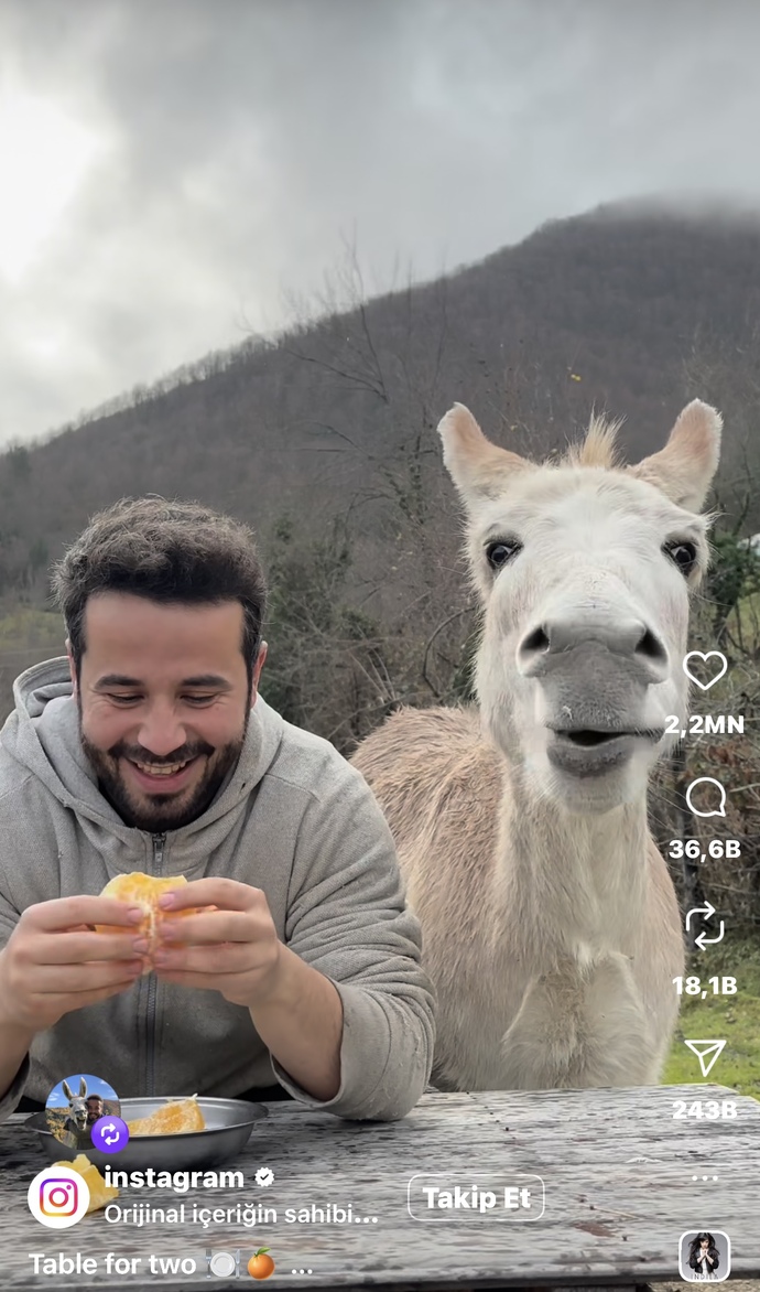 Hollywood yıldızı, yabancılar bile köy hayatını mı seviyor, köy hayatı güzel mi sizce?