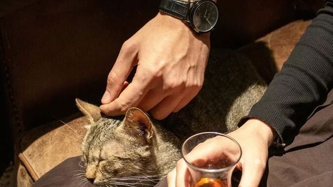 Günaydın mesajına gerek kalmadan, sadece varlığıyla gününüzü aydınlatan insanlar var mı🌸?