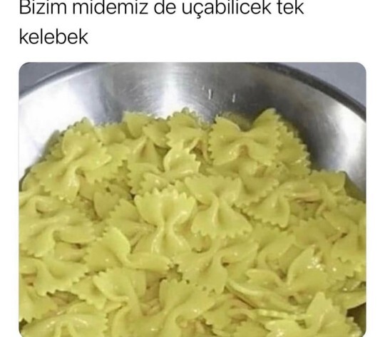 En son ne zaman midenizde kelebekler uçuştu?