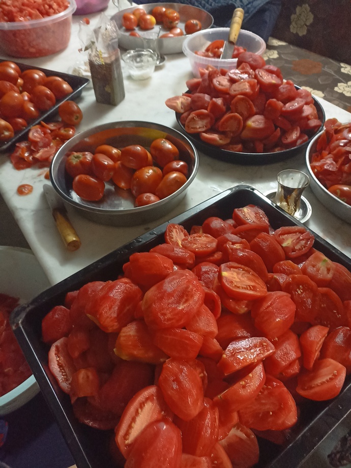 Domates konservesi yaptınız mı ?