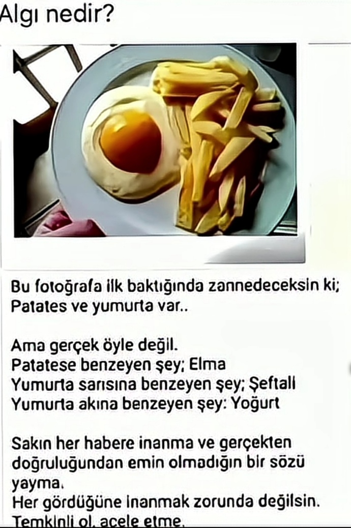 Sosyal medyada çıkan her habere inanır mısınız?