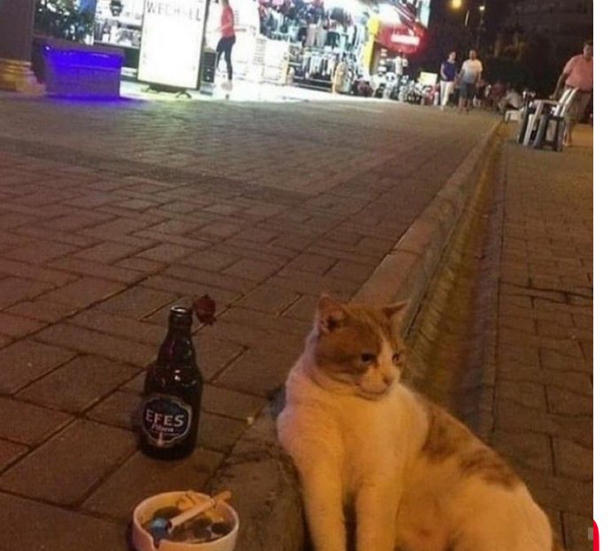 Hiç borcunuz var mı?