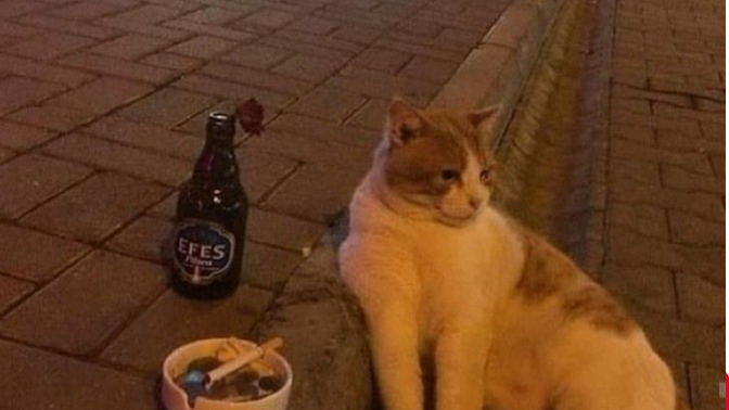 Hiç borcunuz var mı?