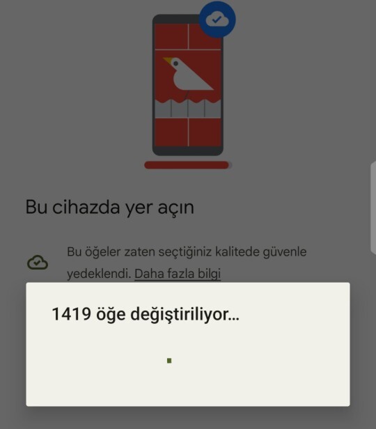 Ya siz fotolarinizi neye yedekliyorsunuz?