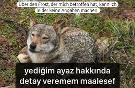 İslam dini nedir 4 kadın gerekçesi ile çocuk çoğaltmaya odaklı erkeklerin eşleriyle doruklara çıkıp başkalarının karılarını gizli?