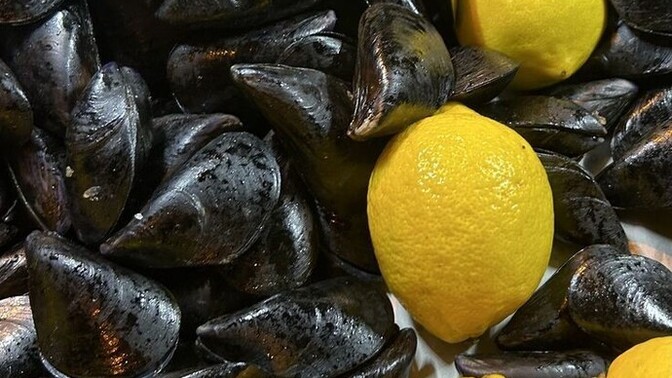 Canım çok çekti, olsada yesem dediğiniz şey var mı?