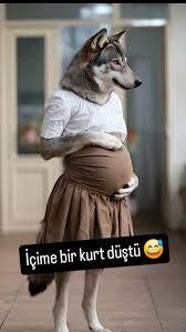Niye hep yanlış kişiye aşık oluyoruz?